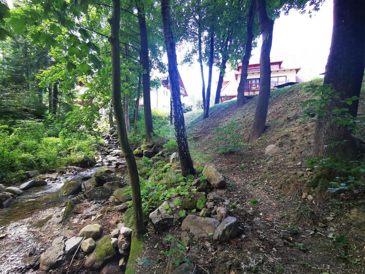 Wonder Home - Dom Willa Karpacz Blisko Centrum, Tuz Przy Stoku I Restauracji Homestay Karpacz