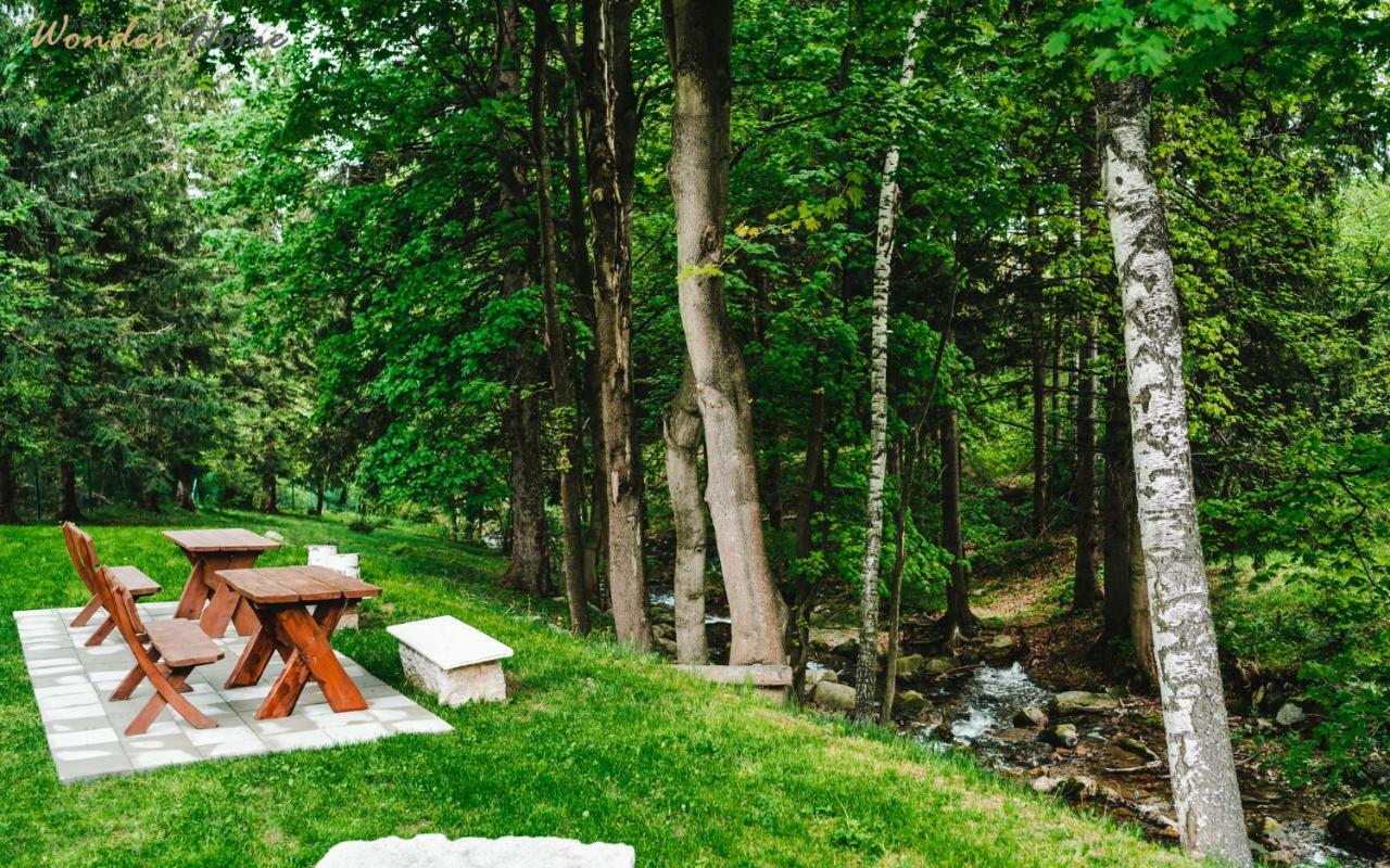Wonder Home - Dom Willa Karpacz Blisko Centrum, Tuz Przy Stoku I Restauracji Karpacz