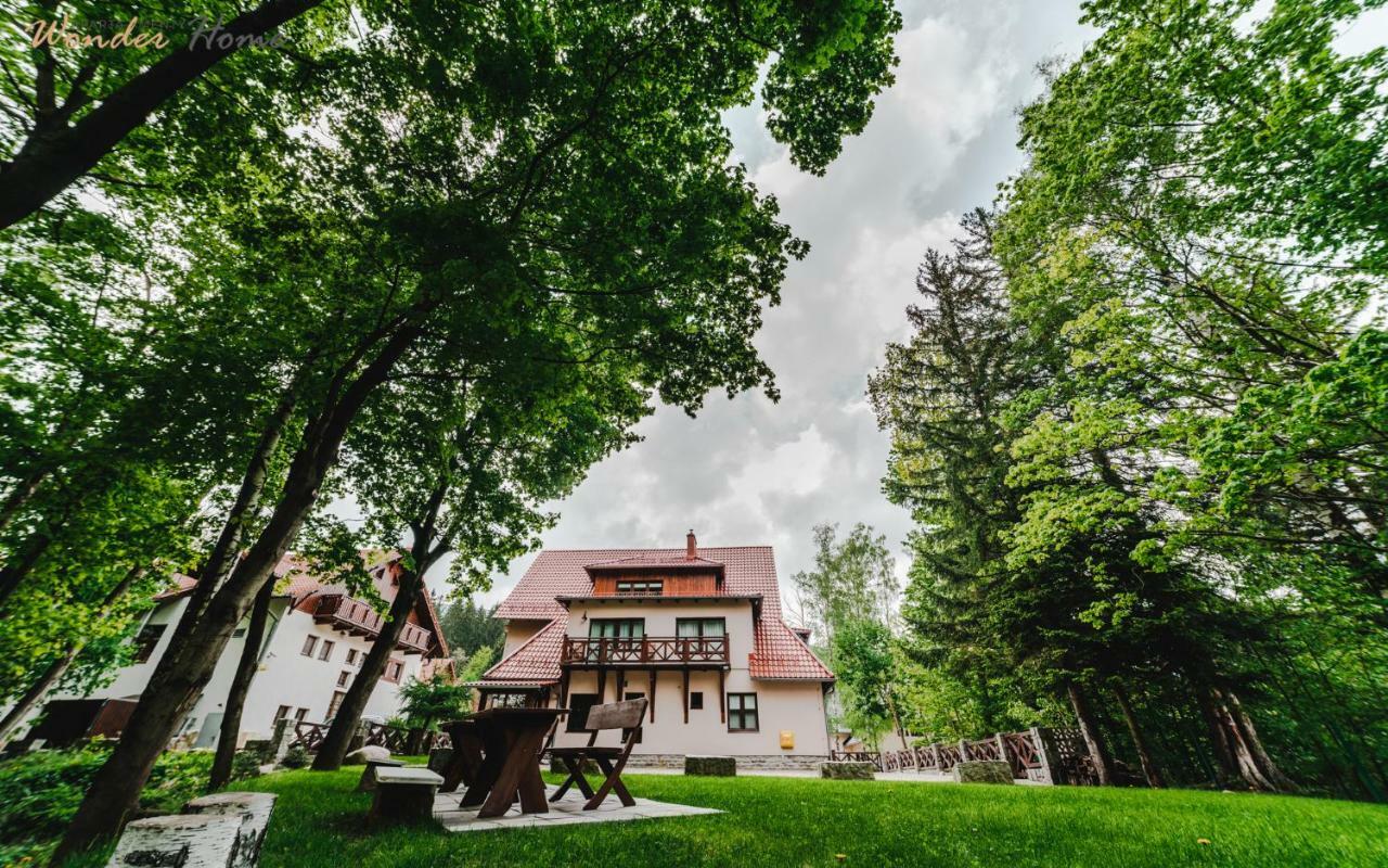 Homestay Wonder Home - Dom Willa Karpacz Blisko Centrum, Tuz Przy Stoku I Restauracji Karpacz